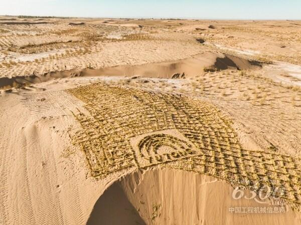 宇通携手全球客户、媒体代表及志愿者在中国民勤沙漠种植抗旱梭梭树