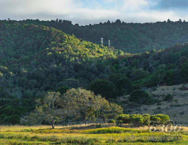 绿舟·CPF百科 | 跨境卖家必看最全碳词汇科普！开拓低碳市场