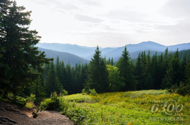 绿舟·CPF百科 | 跨境卖家必看最全碳词汇科普！开拓低碳市场